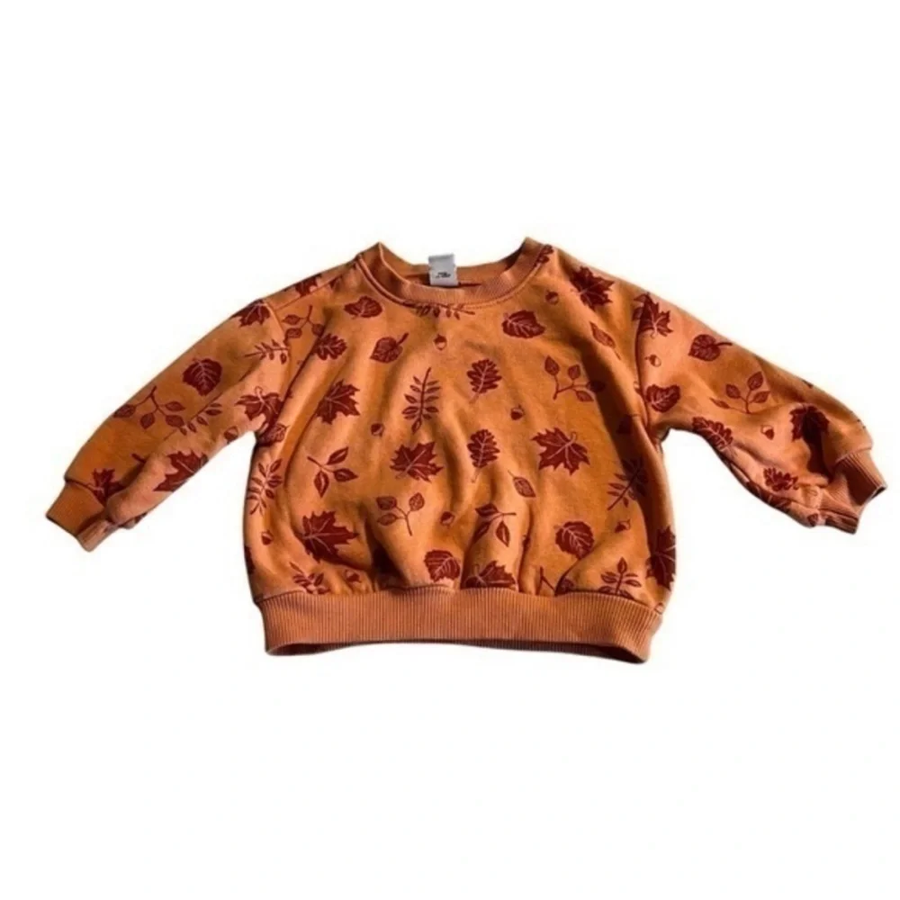 12- piece Girls Lot Sweaters Shirts bodysuit Gymboree Ralph Lauren gap carters - Picture 9 of 16